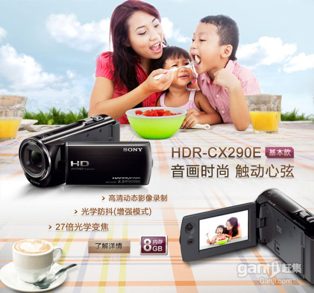 HDR-CX290E