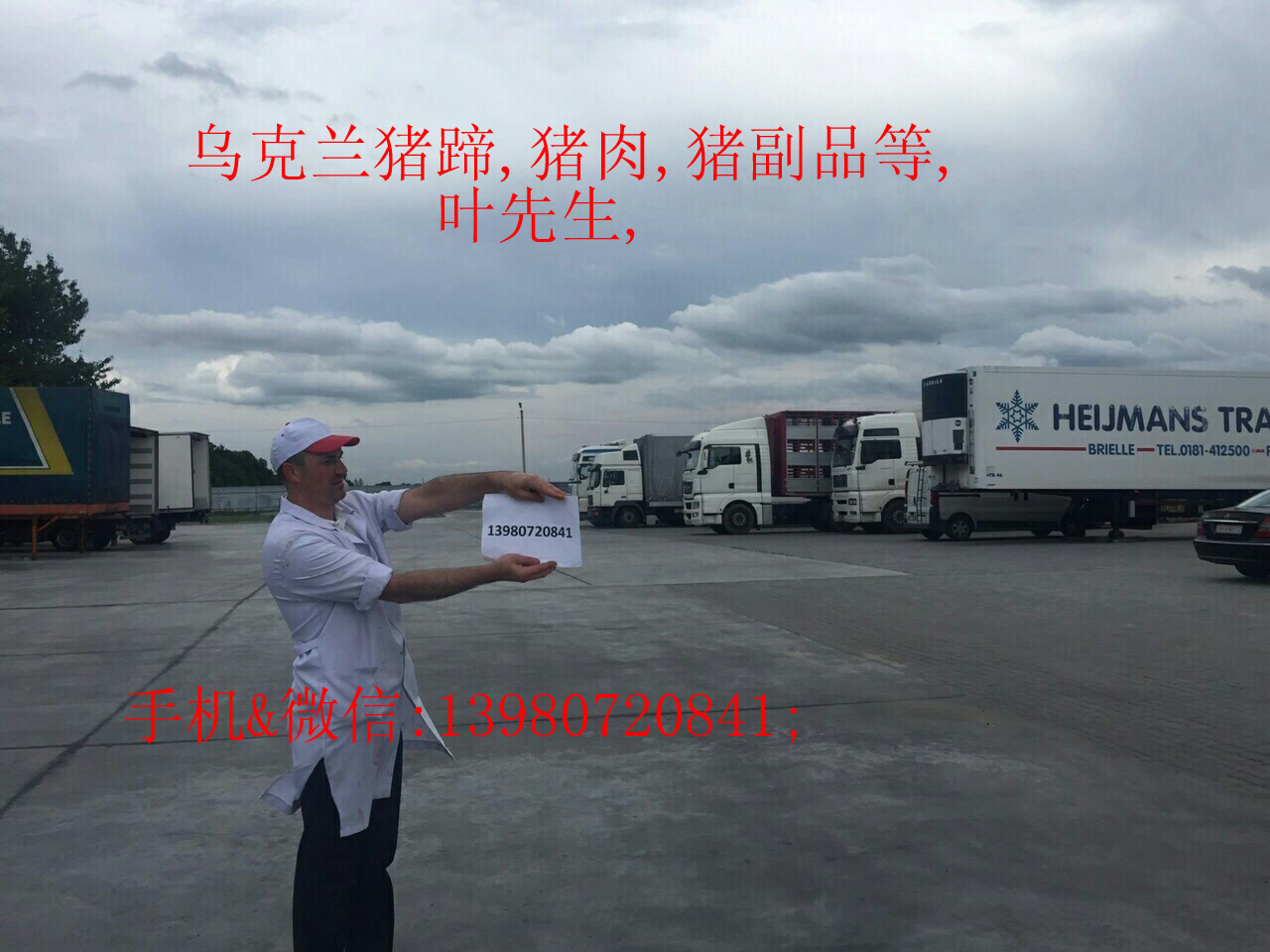 ڿ,,Ʒ,Ҷ,ֻ-΢:13980720841;
